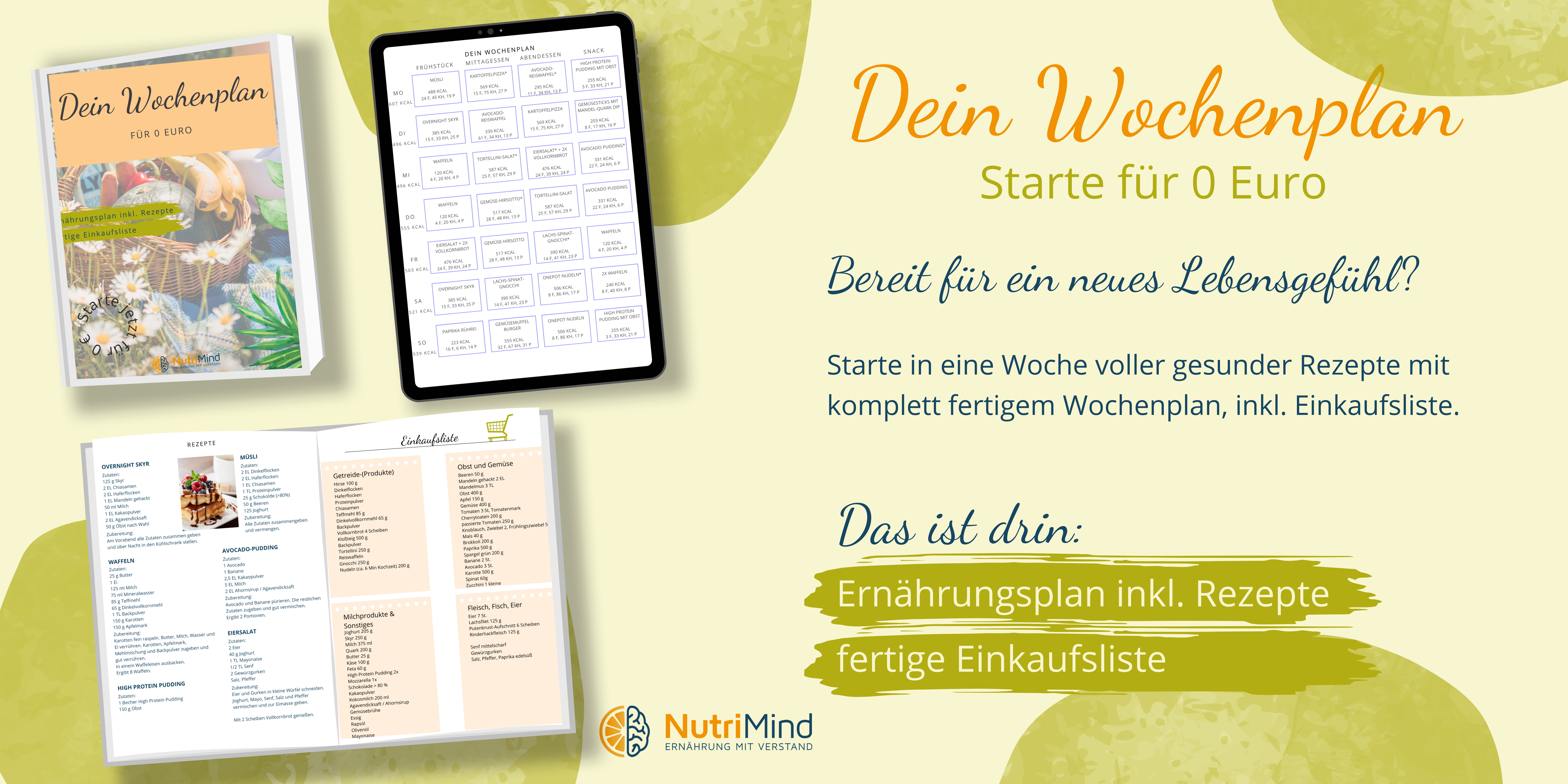 EloPage Banner Bezahlseite(6) Online-Kurs Banner